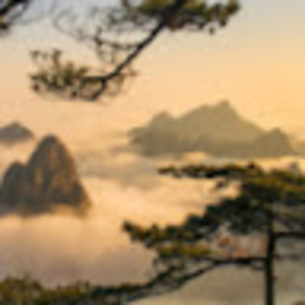 Meet your Posher, Jp